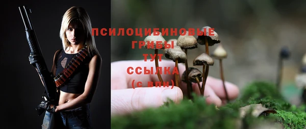 герыч Верхний Тагил