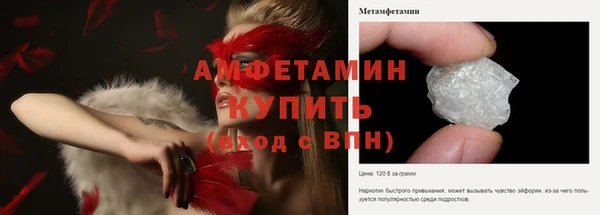 прущие грибы Волосово