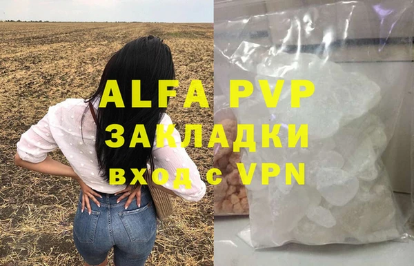 прущие грибы Волосово